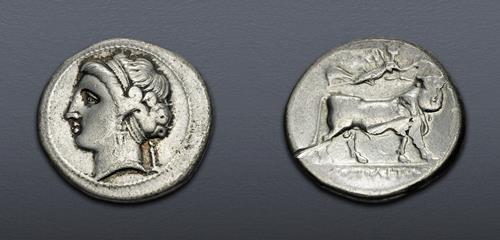 Lot 12 image