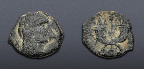 Lot 356 image