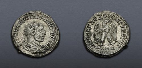 Lot 509 image
