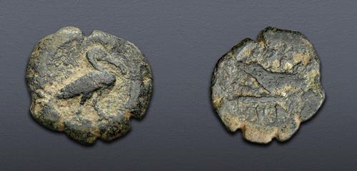 Lot 533 image