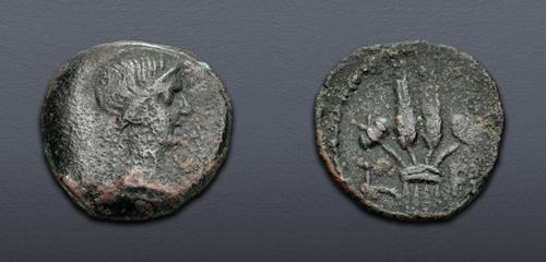 Lot 535 image