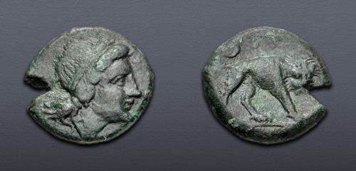 Lot 568 image
