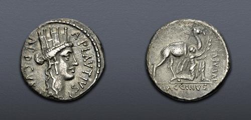 Lot 657 image