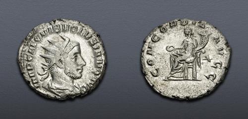 Lot 785 image