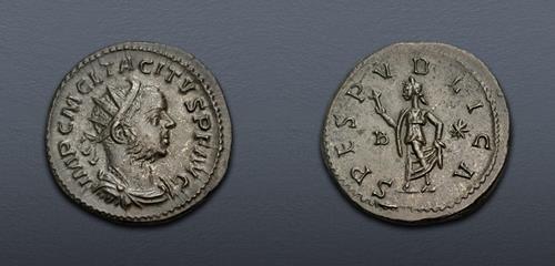 Lot 794 image