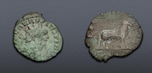 Lot 805 image