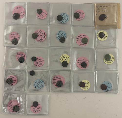 Lot 1184 image