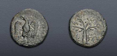 Lot 384 image