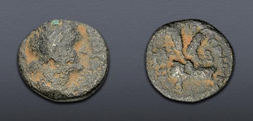 Lot 480 image