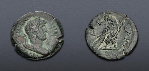 Lot 492 image