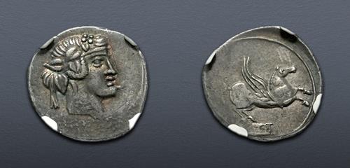 Lot 509 image