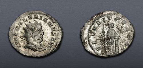 Lot 669 image