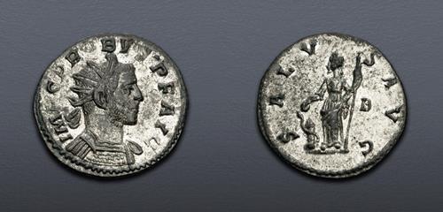 Lot 682 image
