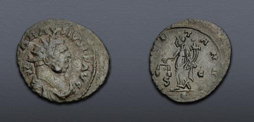 Lot 705 image