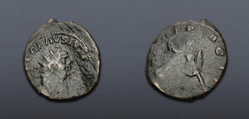Lot 711 image