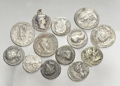 Lot 1117 image